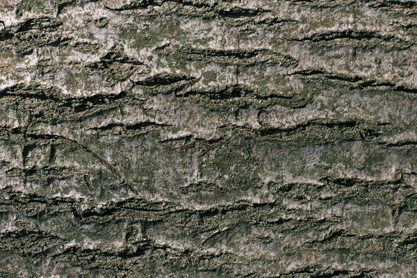 Dunkle Holzstruktur Oder Hintergrund Nahaufnahme Platz Für Text — Stockfoto