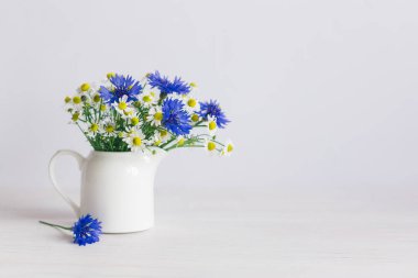Beyaz arka planda bir kavanozda çayır çiçeklerinden oluşan romantik bir buket. Kavanozda papatya ve Cornflower. Metin için yer.