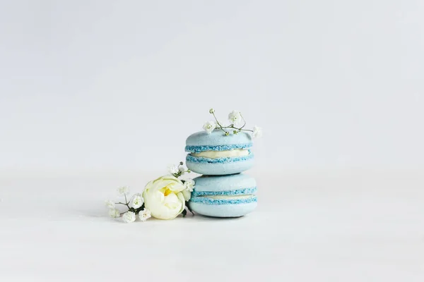 Savoureux Macarons Bleus Français Avec Bourgeon Rose Petites Fleurs Blanches — Photo