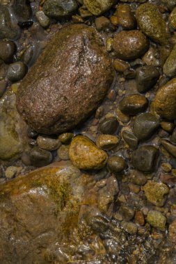 Yakın çekim ıslak doğal çakıl taşları nehir kenarında kayalar.