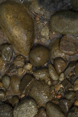 Yakın çekim ıslak doğal çakıl taşları nehir kenarında kayalar.