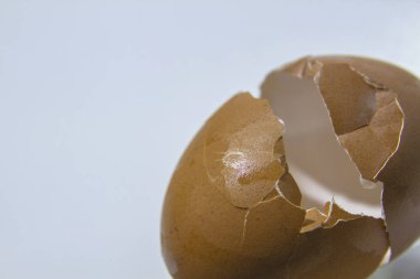 Beyaz arkaplanda kırık yumurta kabuğunu kapat 