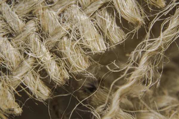 Makro çekimler, çuval bezi tarafında.