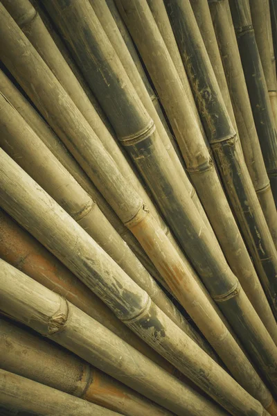 Stacked Dry Bamboo Building Materials — Stock Photo, Image