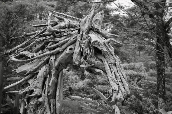 Великий Кінський Арт Статуї Дерев Яних Предметів Території Парку Maribaya — стокове фото