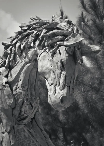 Patung Kepala Seni Kuda Besar Dari Potongan Kayu Taman Resor — Stok Foto