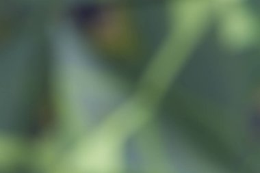 Soyut, yaratıcı ve dekoratif bulanık arkaplan resmi