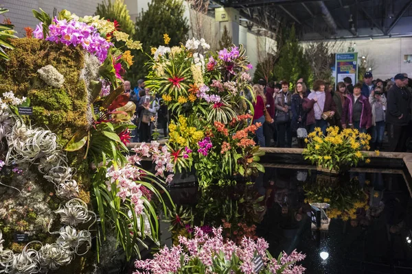 The 2019 Philadelphia Flower Show, Flower Power. — Fotografie, imagine de stoc