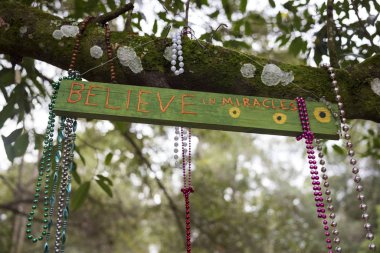 Brimming with colorful fairy wings, gnomes, flowers, and fairy dust, the hidden Fairy Trail of  Horseshoe Park, is made up of paths that run through the woods, which is part of the Cassadaga Spiritualist Camp.  clipart