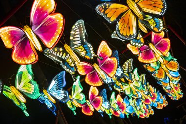 Central Florida Hayvanat Bahçeleri 'nde Asya Fener Festivali. 