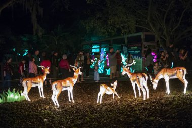 Central Florida Hayvanat Bahçeleri 'nde Asya Fener Festivali. 