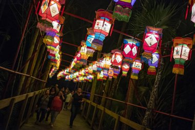 Central Florida Hayvanat Bahçeleri 'nde Asya Fener Festivali. 