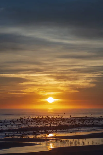 Costa Atlântica Sunrise — Fotografia de Stock