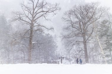 Hokkaido, Japonya-Ocak 31, 2016: Hokk dağda kar görünümünü