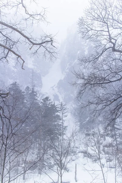 HOKKAIDO, GIAPPONE-GIAPPONE. 31, 2016: La vista della montagna di neve in Hokk — Foto Stock
