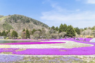 Tokyo insanlardan ve diğer şehirler Mt. Fuji için gelip inci keyfini çıkarın