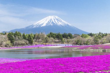 Tokyo insanlardan ve diğer şehirler Mt. Fuji için gelip inci keyfini çıkarın