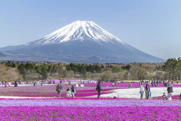 Люди из Токио и других городов приезжают на гору. Фудзи и наслаждаться т — стоковое фото