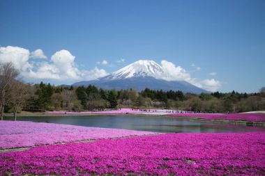 Tokyo insanlardan ve diğer şehirler Mt. Fuji için gelip inci keyfini çıkarın