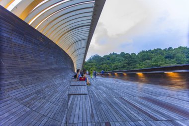 Singapur Henderson dalga Köprüsü'nde yarış