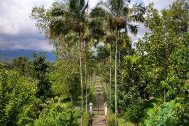Prambanan gelen turist 