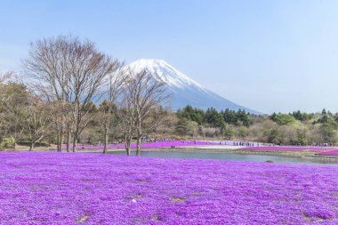 Tokyo insanlardan ve diğer şehirler Mt. Fuji için gelip inci keyfini çıkarın