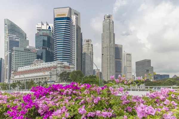  Otobüs içinde uzun boylu ve modern gökdelenler