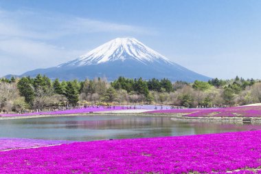 Tokyo insanlardan ve diğer şehirler Mt. Fuji için gelip inci keyfini çıkarın