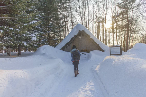 Hokk dağda kar görünümünü