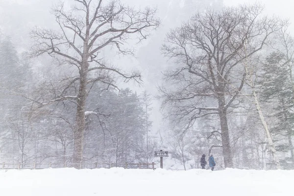 Hokk dağda kar görünümünü