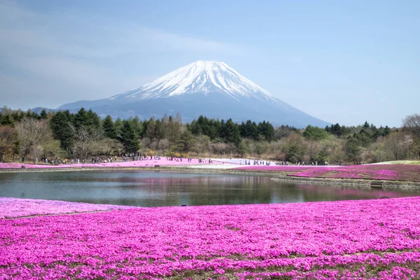 People from Tokyo and other cities come to Mt. Fuji and enjoy th — Stock Photo, Image