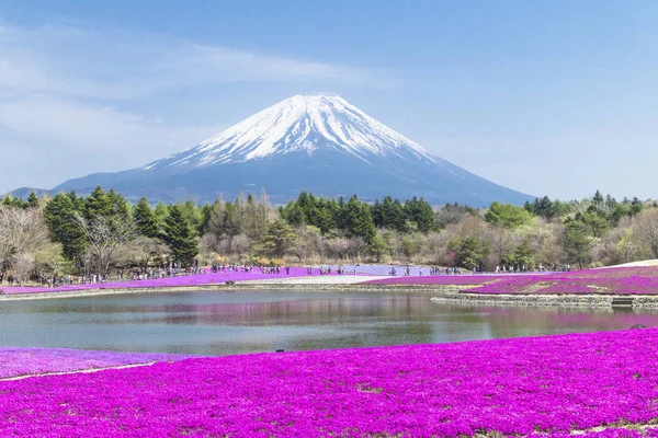 People from Tokyo and other cities come to Mt. Fuji and enjoy th — Stock Photo, Image