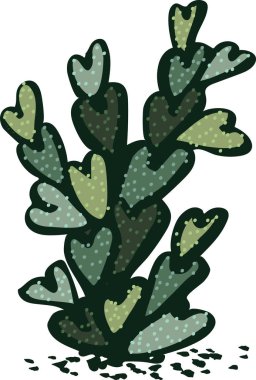 Kalp şeklinde yaprakları olan tek bir kaktüsün resmi.