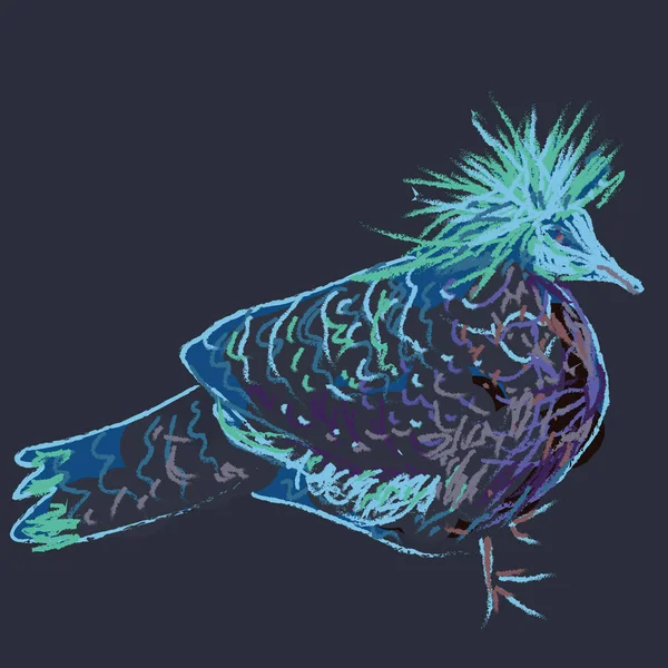 Ilustración del vector de boceto de paloma coronada — Vector de stock