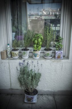 Terasta aşçı bitkileriyle süslenmiş tencereler (kendim yaptım.)