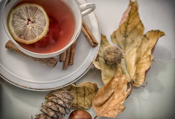 Still Life Scene Autumn Tea Lemon — Stock Photo, Image