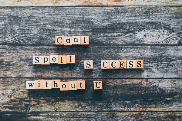 Top view of wood cube letter word of Cant Spell SUCCESS without