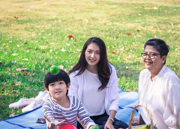 Happy Asian Family Has Leisure Picnic Park Weekend Holiday Grandmother — Stock Photo, Image