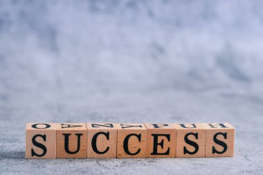 Kopya alanı olan tahta küplü SUCCESS mektubu. Motivasyon fikri ve iş vizyonu ve kurumsal yönetim stratejisinde ilham. Liderlik, hedefe ya da başarıya ulaşmak için takım çalışmasına öncülük eder.