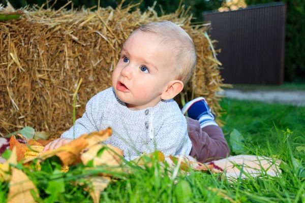 Šťastné dítě si hraje s listím a kukuřicí v přírodě. slunečný podzimní den. — Stock fotografie