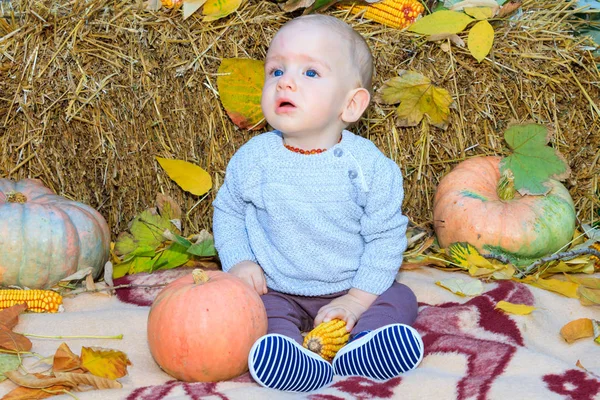 Roztomilý chlapeček s dýněmi a kukuřicí v podzimní zahradě kolem podzimního listí. Devítiměsíční chlapec s blond vlasy a modrýma očima. — Stock fotografie