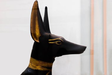 Kahire 'deki Mısır Müzesi' ndeki Tutankamon mezarından tanrı Anubis 'in Mısır heykeli.