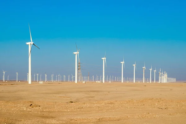 Энергетическая ветроэлектростанция Египта — стоковое фото