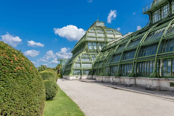 Austria, Viena - 3 de septiembre de 2019: Jardín Botánico Palmenhaus en el Palacio Jardín del Palacio Schonbrunn, Viena, Austria —  Fotos de Stock