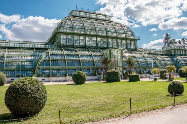 Austria, Viena - 3 de septiembre de 2019: Palm House (Palmenhaus) en Viena Jardines Schonbrunn, Austria — Foto de Stock