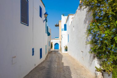 Beyaz-mavi bir kasaba olan Sidi Bou Said 'de mavi çiçekler, Tunus, Kuzey Afrika