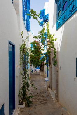 Beyaz ve mavi şehir Sidi Bou Said, Tunus, Afrika