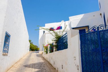 Beyaz-mavi bir kasabada, Sidi Bou Said caddesinde, mor çiçekler, Tunus, Kuzey Afrika