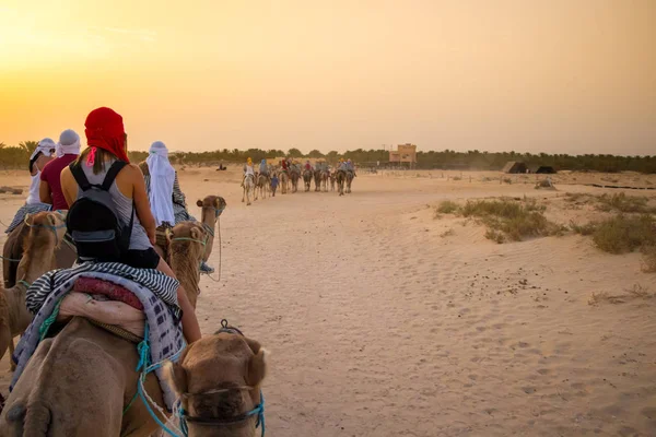 Turisták és beduinok tevék találkoznak naplemente Szahara sivatag, Douz, Tunézia, Afrika — Stock Fotó