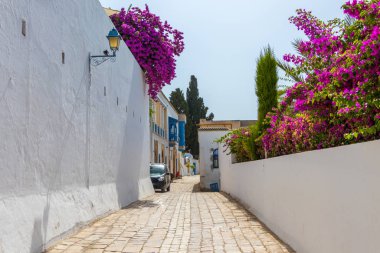 Tunus 'un güzel Sidi Bou Said kasabasında çiçeklerle süslenmiş evleri olan eski bir sokak.